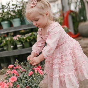 Like new Ivy City Co Aniston dress (mini)